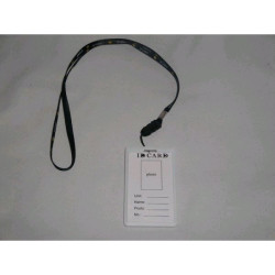 Camera ascunsa in ID card cu memorie 4 GB