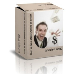 Cum sa faci o afacere Online de succes