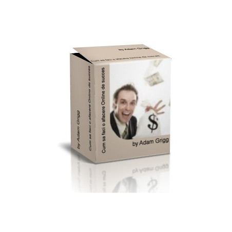Cum sa faci o afacere Online de succes
