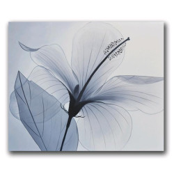 Delicata 2 (tablou 60x50cm)