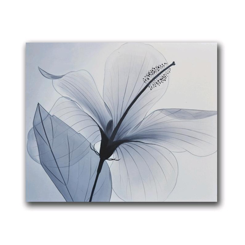 Delicata 2 (tablou 60x50cm)