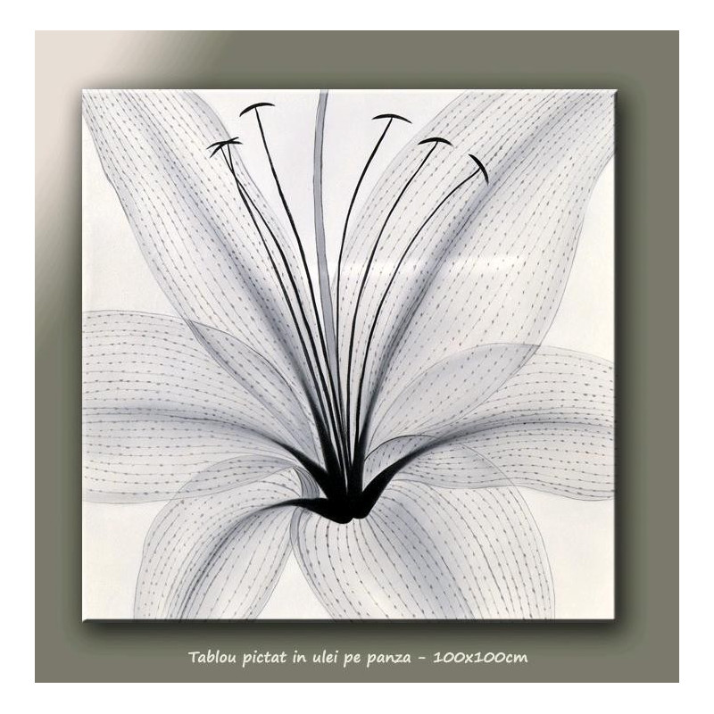 Tablou floral - Delicata (3) - ulei pe panza 100x100cm