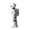 Robotul inteligent Pino
