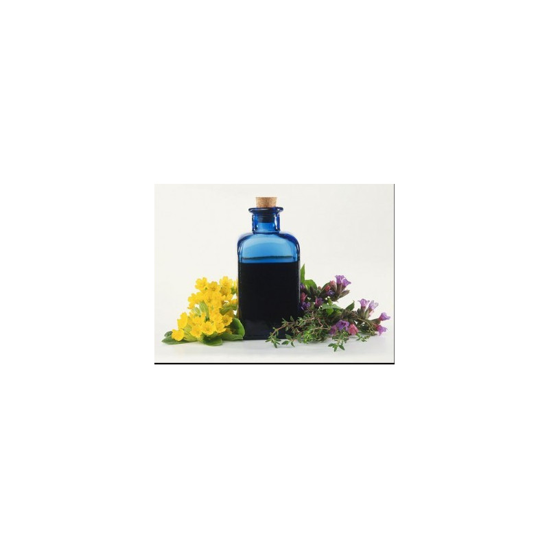 Bitter suedez cu propolis si galbenele 100ml