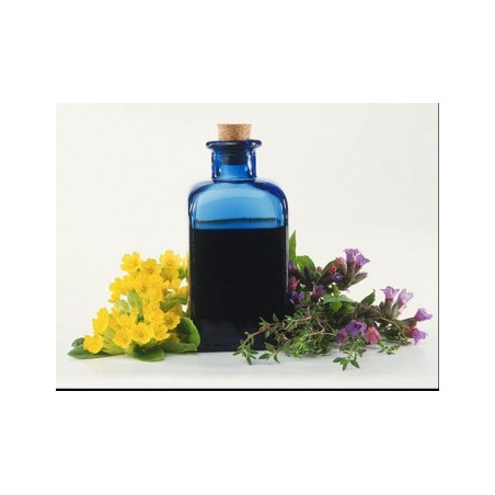 Bitter suedez cu propolis si galbenele 100ml