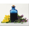 Bitter suedez cu propolis si galbenele 100ml