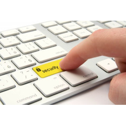 Servicii de securitate informatica si electronica