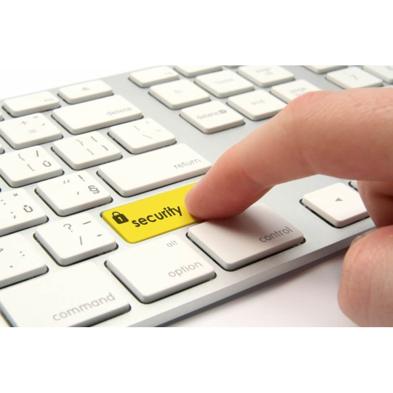 Servicii de securitate informatica si electronica