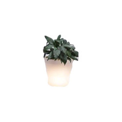 Ghiveci de flori luminos alb