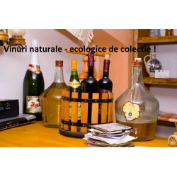 Cutie piele pentru 2 sticle vin si set poker