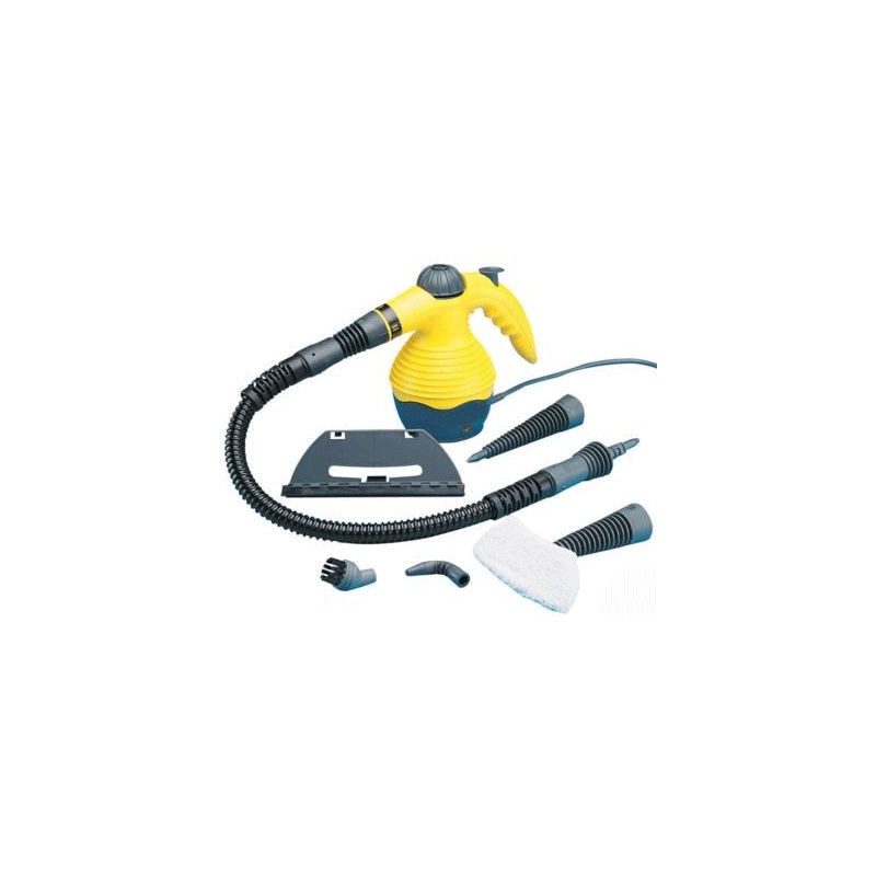 Curatator cu Aburi (Steam Cleaner) 