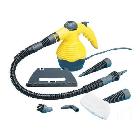 Curatator cu Aburi (Steam Cleaner) 