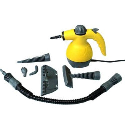 Curatator cu Aburi (Steam Cleaner) 